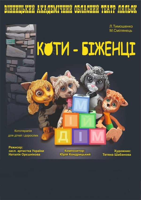 Коти-біженці. Вінниця