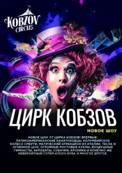 Цирк Кобзов. Вінниця